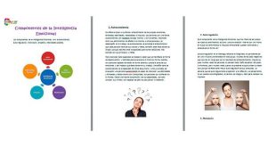inteligencia-emocional