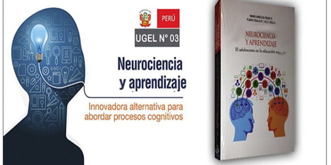 neurociencia-y-aprendizaje
