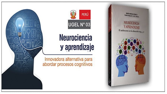 neurociencia-y-aprendizaje