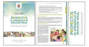 Proyectos en educación inicial