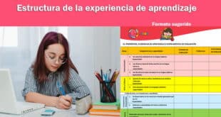 estructura de la experiencia de aprendizaje