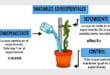 Las variables en una investigación científica