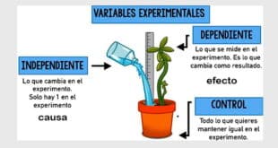 Las variables en una investigación científica