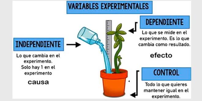 Las variables en una investigación científica